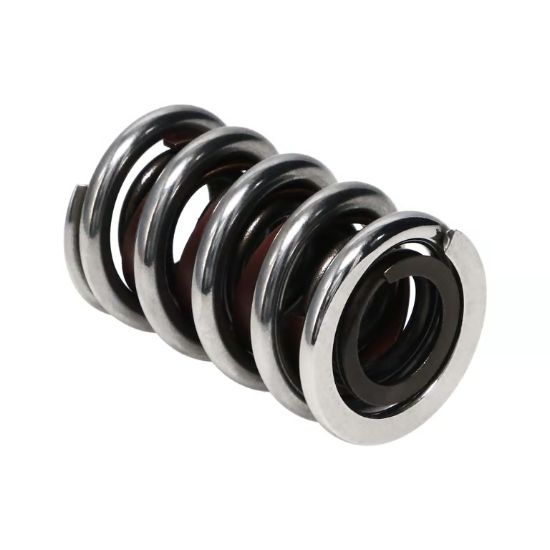Picture of Manley Engine Valve Spring Kit - 22431-16