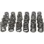 Picture of Manley Engine Valve Spring Kit - 26135