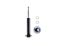 Picture of MaxTrac Suspension Shock Absorber - 223203