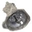 Picture of Zumbrota Drivetrain Manual Transmission Assembly - RMTM5R2F-3