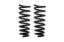 Picture of Eibach Coil Spring Lowering Kit - E10-20-022-08-20