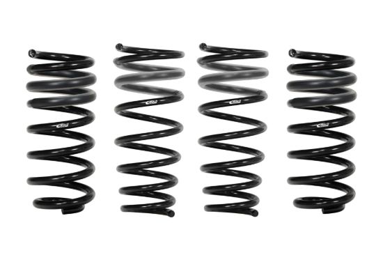Picture of Eibach Coil Spring Lowering Kit - E10-20-029-02-22