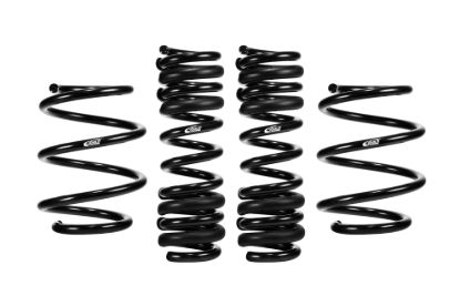 Picture of Eibach Coil Spring Lowering Kit - E10-20-049-09-22