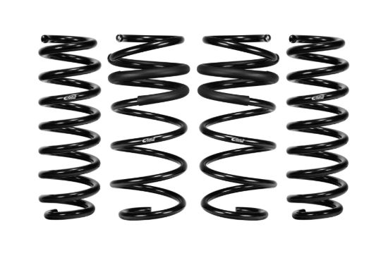Picture of Eibach Coil Spring Lowering Kit - E10-201-004-01-22