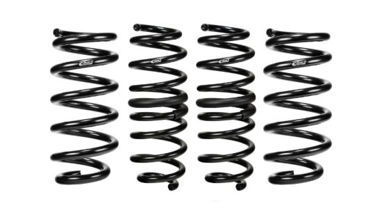 Picture of Eibach Coil Spring Lowering Kit - E10-201-005-02-22