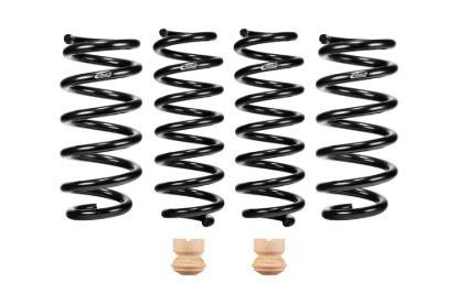 Picture of Eibach Coil Spring Lowering Kit - E10-201-005-03-22