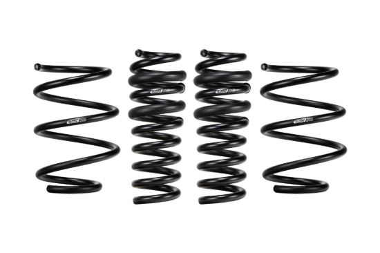 Picture of Eibach Coil Spring Lowering Kit - E10-203-004-01-22