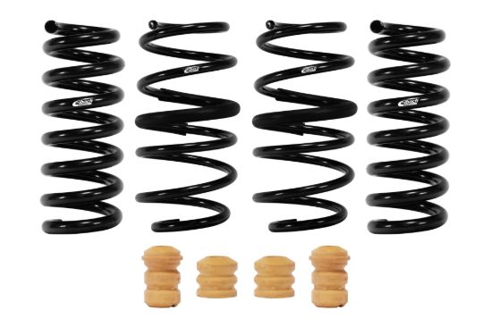 Picture of Eibach Coil Spring Lowering Kit - E10-35-054-04-22