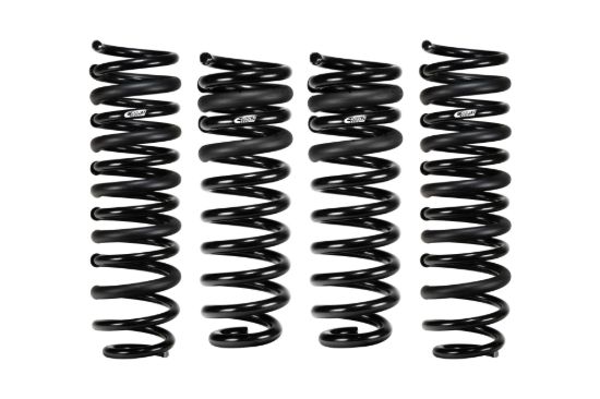 Picture of Eibach Coil Spring Lowering Kit - E10-35-061-01-22