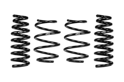 Picture of Eibach Coil Spring Lowering Kit - E10-42-061-02-22