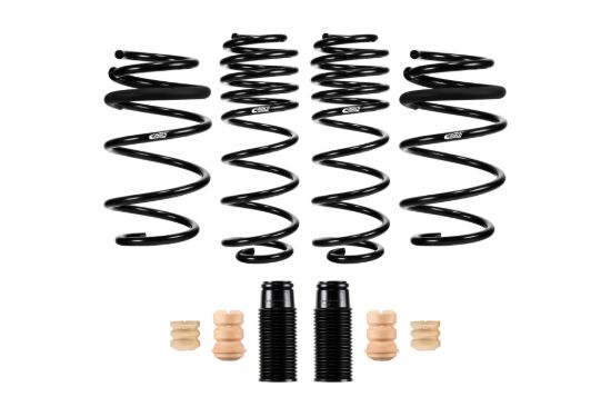 Picture of Eibach Coil Spring Lowering Kit - E10-46-038-01-22