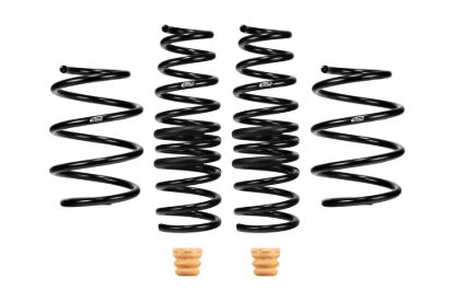 Picture of Eibach Coil Spring Lowering Kit - E10-46-043-01-22