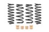 Picture of Eibach Coil Spring Lowering Kit - E10-51-025-02-22