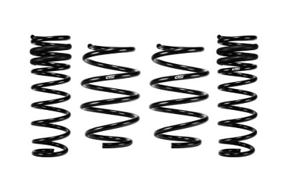 Picture of Eibach Coil Spring Lowering Kit - E10-77-030-01-22