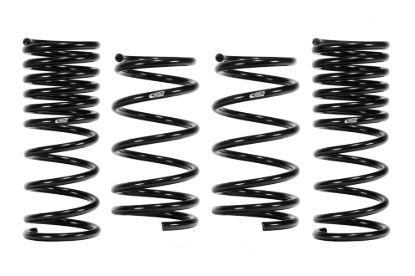 Picture of Eibach Coil Spring Lowering Kit - E10-82-097-01-22