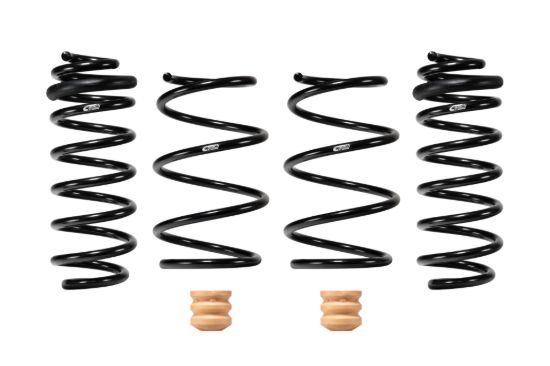 Picture of Eibach Coil Spring Lowering Kit - E10-82-102-01-22