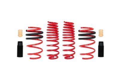 Picture of Eibach Coil Spring Lowering Kit - E20-42-047-01-22