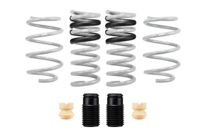 Picture of Eibach Coil Spring Set - E32-35-029-01-22