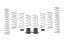Picture of Eibach Coil Spring Set - E85-209-001-02-22