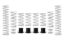 Picture of Eibach Coil Spring Set - E85-209-007-03-22