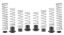 Picture of Eibach Coil Spring Set - E85-209-019-03-22