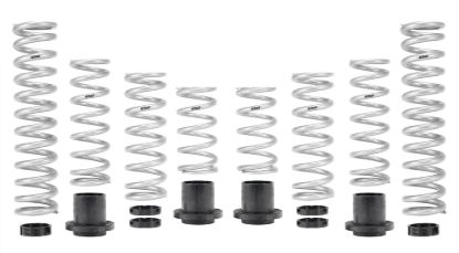 Picture of Eibach Coil Spring Set - E85-209-020-02-22