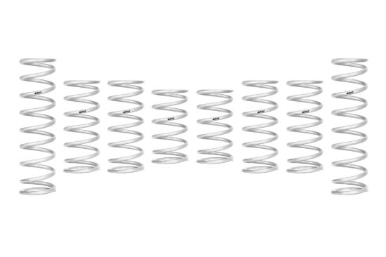 Picture of Eibach Coil Spring Set - E85-209-031-02-22