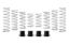 Picture of Eibach Coil Spring Set - E85-209-033-03-22