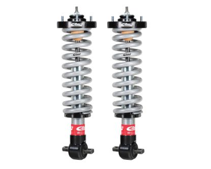 Picture of Eibach Coilover Spring and Shock Assembly - E86-23-032-01-20