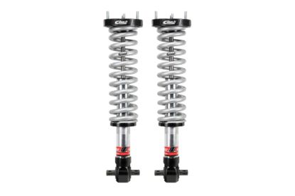 Picture of Eibach Coilover Spring and Shock Assembly - E86-23-032-02-20