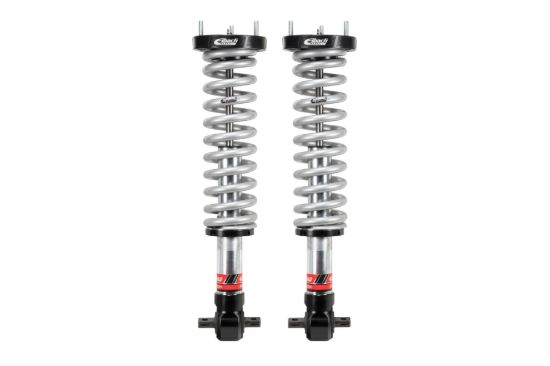 Picture of Eibach Coilover Spring and Shock Assembly - E86-23-032-02-20