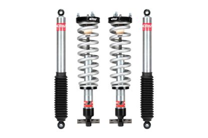 Picture of Eibach Coilover Spring and Shock Assembly - E86-23-042-01-22