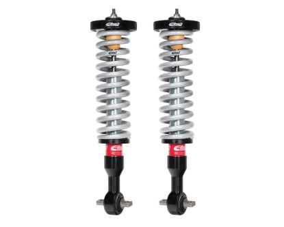Picture of Eibach Coilover Spring and Shock Assembly - E86-35-035-01-20