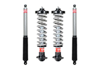 Picture of Eibach Coilover Spring and Shock Assembly - E86-35-037-01-22