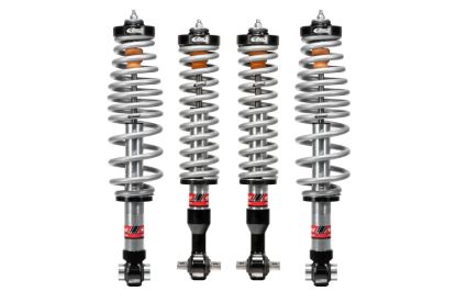 Picture of Eibach Coilover Spring and Shock Assembly - E86-35-056-01-22