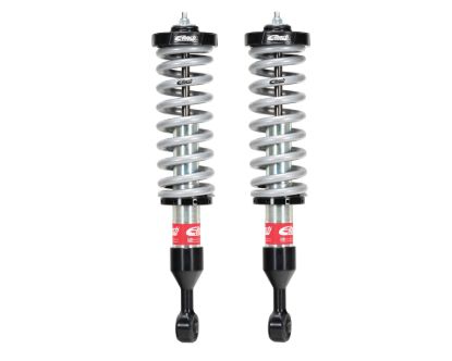 Picture of Eibach Coilover Spring and Shock Assembly - E86-59-005-01-20