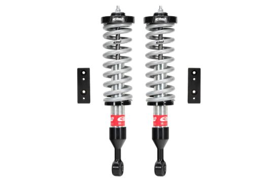 Picture of Eibach Coilover Spring and Shock Assembly - E86-82-007-01-20