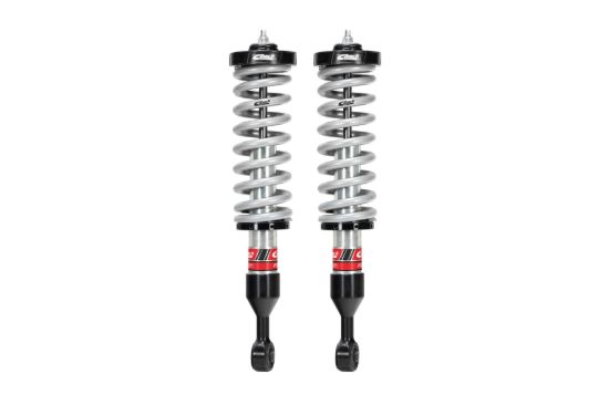 Picture of Eibach Coilover Spring and Shock Assembly - E86-82-070-01-20