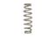 Picture of Eibach Coil Spring - P1600.2530.0200