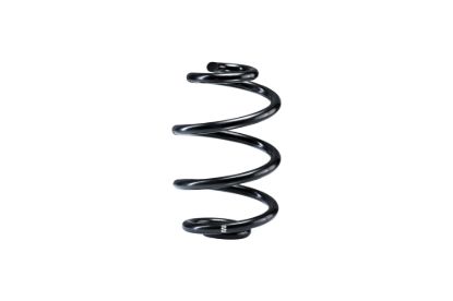 Picture of EIBACH ERL REAR SPRING - SINGLE - R10353