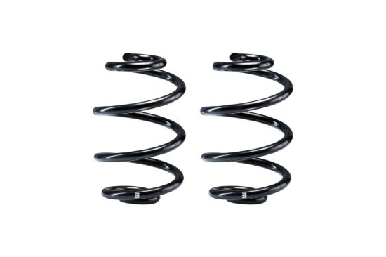 Picture of Eibach Coil Spring - R40023