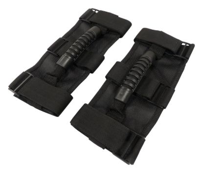 Picture of RT Offroad Grab Handle - RT27048