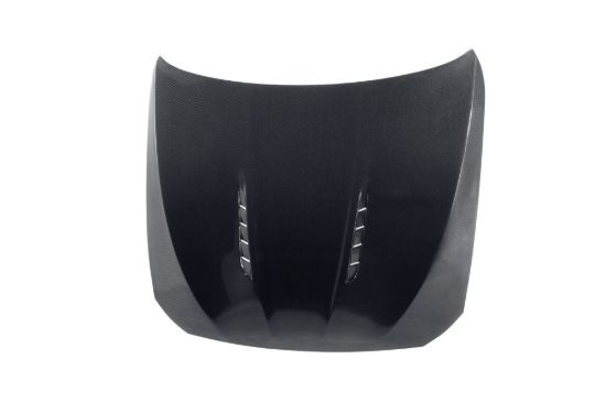 Picture of Seibon Carbon Hood - HD1012BMWF10-BT