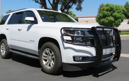 Picture of Steelcraft Grille Guard - 50-0400