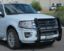 Picture of Steelcraft Grille Guard - 50-1310
