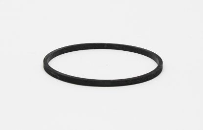 Picture of TI Automotive Fuel Pump Tank Seal - 16-146