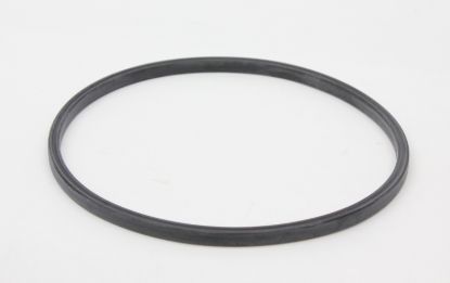 Picture of TI Automotive Fuel Pump Tank Seal - 4581239
