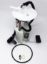 Picture of TI Automotive Fuel Pump Module Assembly - TU241