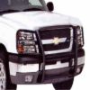 Picture of TrailFX Grille Guard - 81321