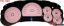 Picture of US Speedo Instrument Cluster Gauge Face Kit - TRL068K